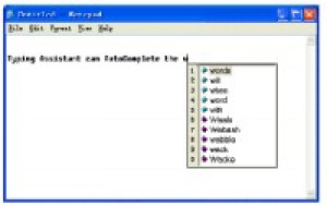 Typing Assistant - náhled