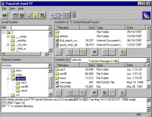AutoFTP Professional - náhled