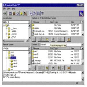 AutoFTP Professional - náhled