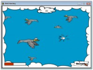 Bird Hunting - náhled