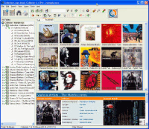 Music Collector - náhled