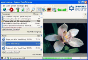 Express NewsPictures - náhled