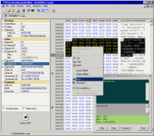 Hexadecimal Editor - náhled