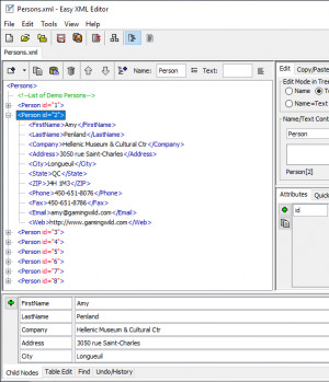 Easy XML Editor - náhled