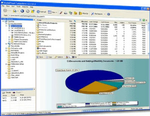 Disk Usage Analyser - náhled