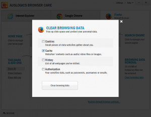 Auslogics Browser Care - náhled