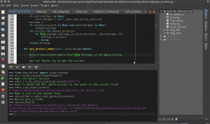 Ninja-IDE  - náhled