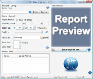 The Blue Reporter - náhled