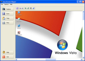 Easy Screen Ripper - náhled