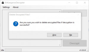 BitKangarooDecrypter - náhled