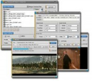 Anewsoft Video Converter - náhled