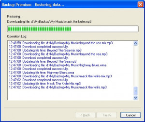 Backup Premium - náhled