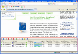 Enterra Download Manager - náhled