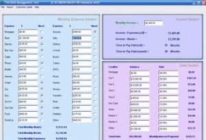 Debt Management Tool - náhled