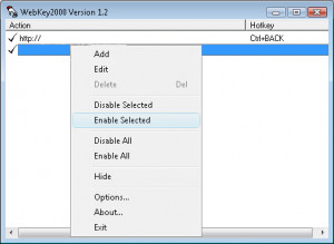 WebKey2000 - náhled