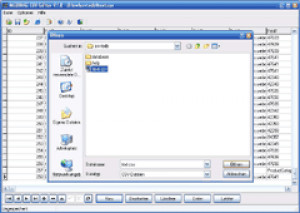 CSV-Editor - náhled