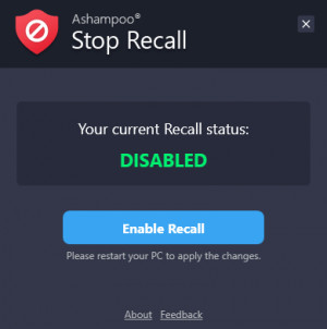 Ashampoo Stop Recall - náhled