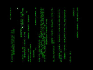 Matrix Screen Saver (by Warner Bros.) - náhled