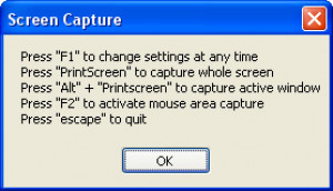 Multi Screen Dump - náhled
