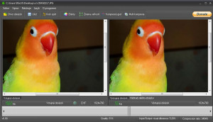 Realtime Picture Convertor 6 - náhled