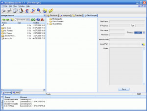 Global Downloader - náhled