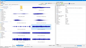 Audio File Browser - náhled