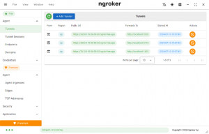 Ngroker - náhled
