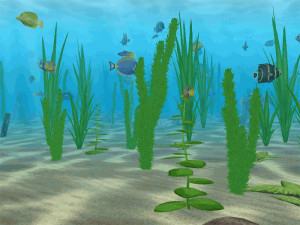 Water Life - náhled