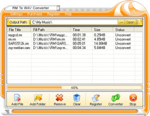RM To WAV Converter - náhled