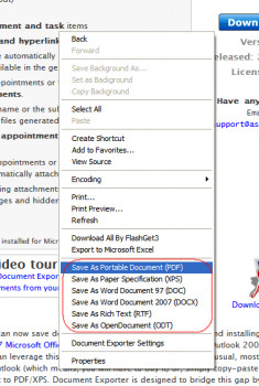 PDF/ XPS Exporter for Internet Explorer - náhled