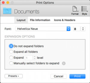 Print Window - náhled