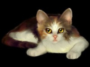 Lovely Cats screensaver - náhled