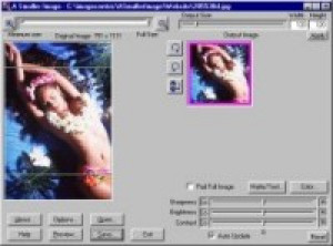 A Smaller Image - náhled