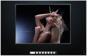 Flash Media Show Standard - náhled