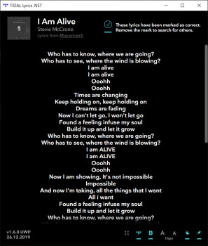 TIDAL Lyrics .NET - náhled