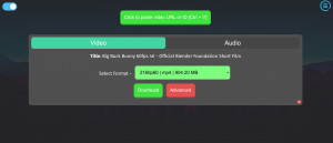 ytDownloader - náhled