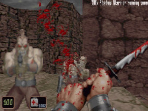 Shadow Warrior - náhled