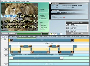 Video Karaoke Studio II - náhled