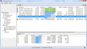 Tiny Downloader - náhled