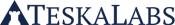 logo TeskaLabs