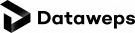 logo DATAWEPS, s.r.o.