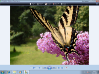 Windows 7 Beta 1 - Photo Viewer