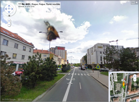 Google Street View - Motýlek na skle