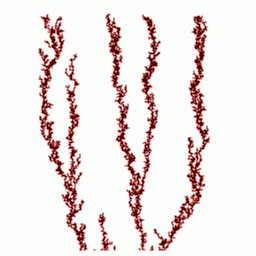 fractals44_2