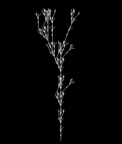fractals55_6
