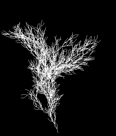 fractals55_9